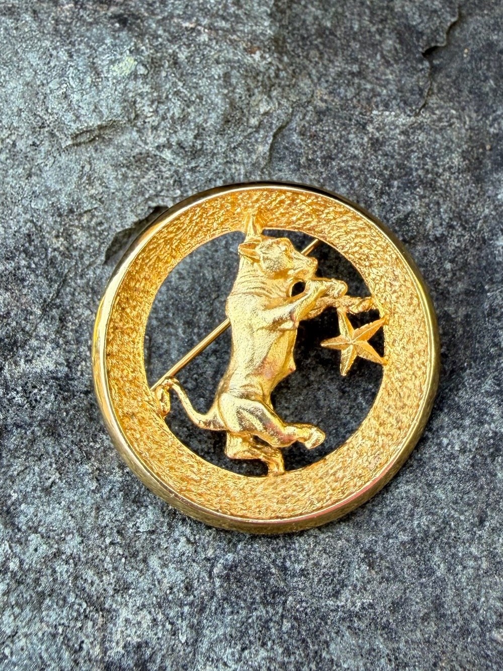 Vintage Taurus Park Lane Matte Gold Bull Star Circle Pin Brooch